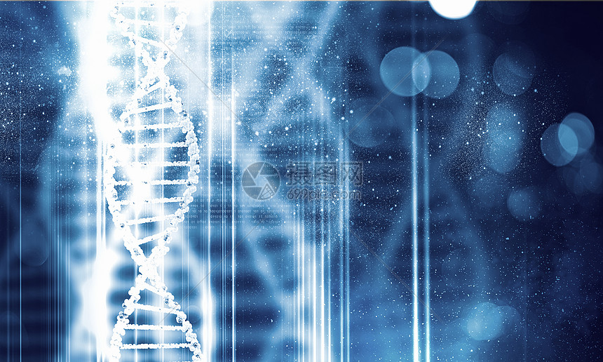 DNA分子高科技DNA分子的生物化学背景